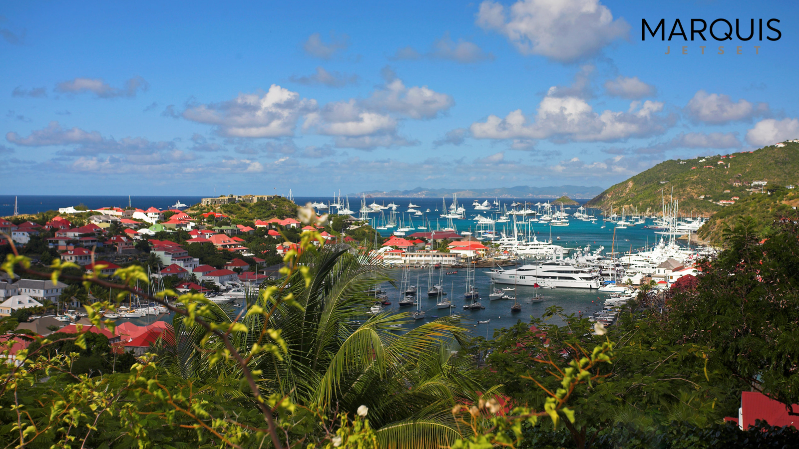 Read more about the article ST BARTHS